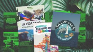 Del Army BTS a Roblox: Así fue la presión digital para frenar Perfect Day en Mahahual