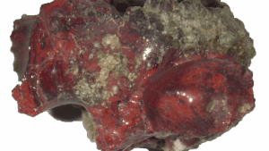 La primera bomba atómica creó un material que nunca había existido en la Tierra