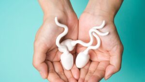 La fertilidad podría recuperarse tras el cáncer a partir de tejido testicular congelado en la infancia