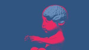 El cerebro no nace siendo un ‘lienzo en blanco’