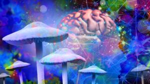El orden oculto detrás del aparente caos del cerebro bajo psilocibina
