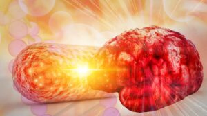 Este podría ser el vínculo que hemos buscado entre las bacterias del intestino y el Alzheimer